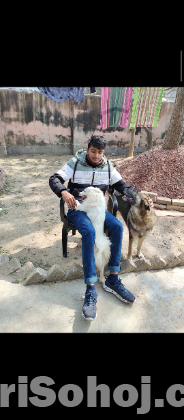 জার্মানি স্পিচের বাচ্চা